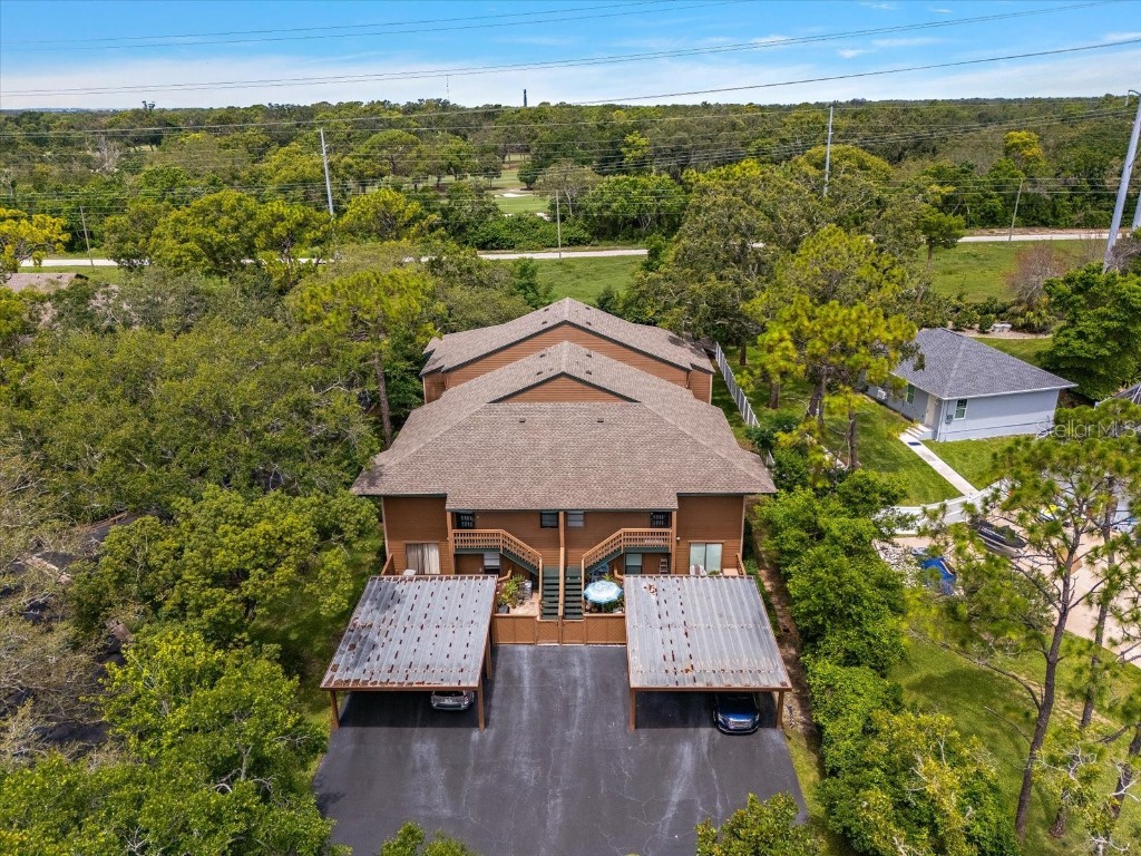 506 Lennox Road W #506 Palm Harbor FL 34683 TB8402287 image1