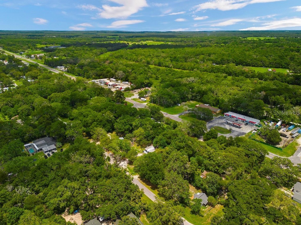 506 Roosevelt Avenue Masaryktown FL 34604 W7877555 image19