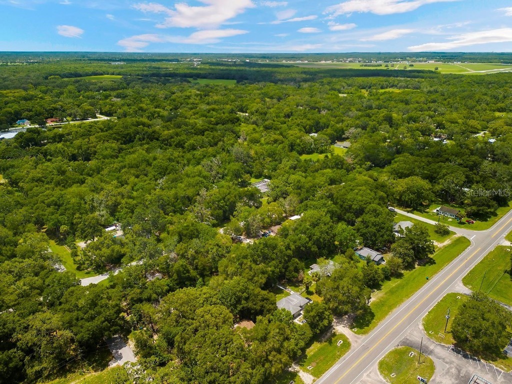 506 Roosevelt Avenue Masaryktown FL 34604 W7877555 image25