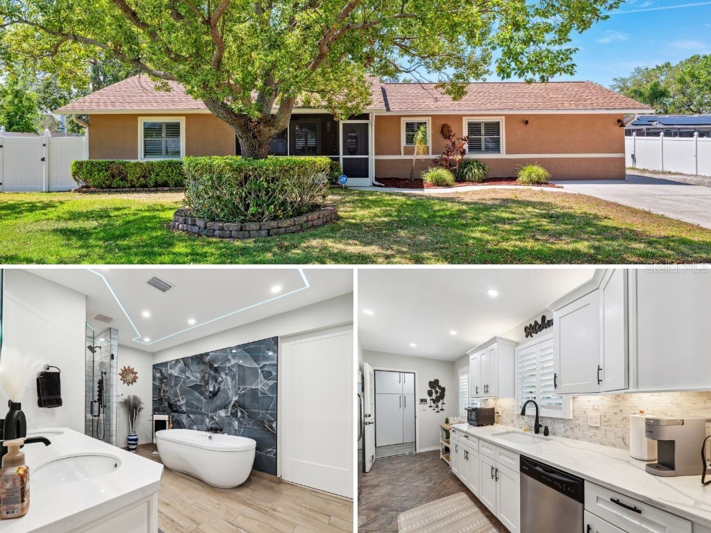 506 Spring Tree Court Tarpon Springs FL 34689 TB8374340 image1