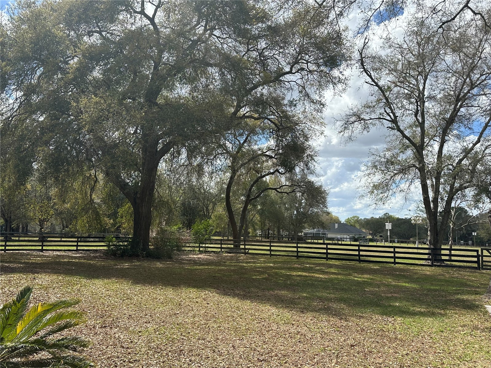 5060 SW 84th Street Ocala FL 34476 OM720095 image18