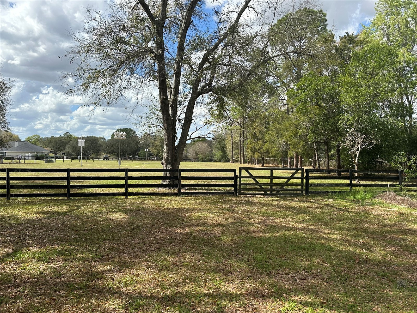 5060 SW 84th Street Ocala FL 34476 OM720095 image19