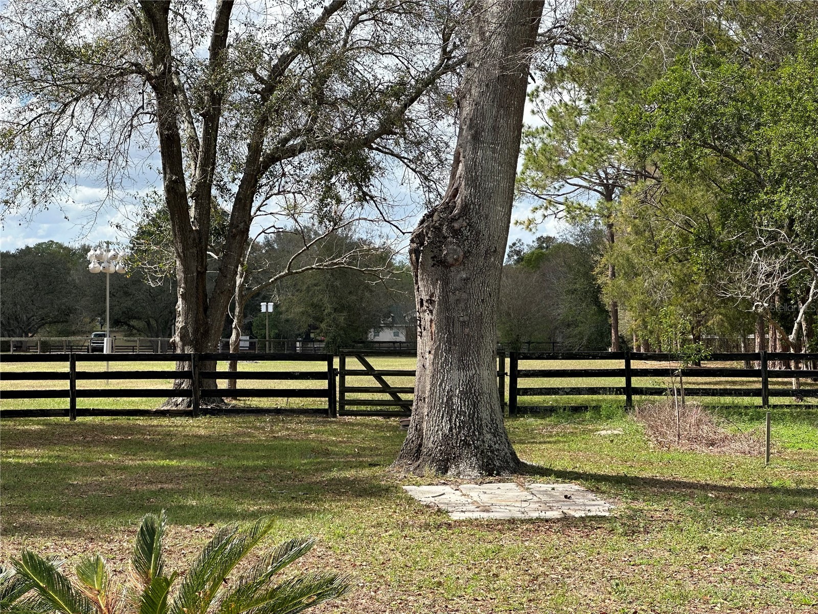 5060 SW 84th Street Ocala FL 34476 OM720095 image27