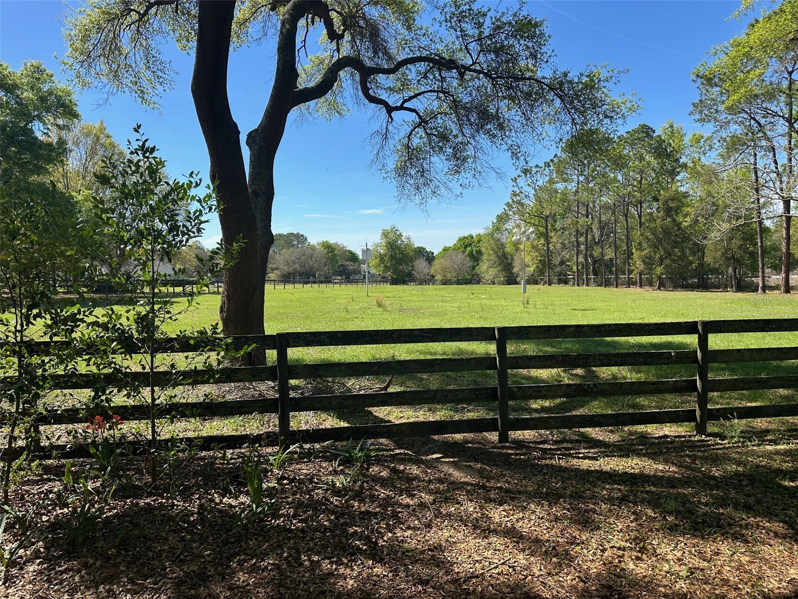 5060 SW 84th Street Ocala FL 34476 OM720095 image30