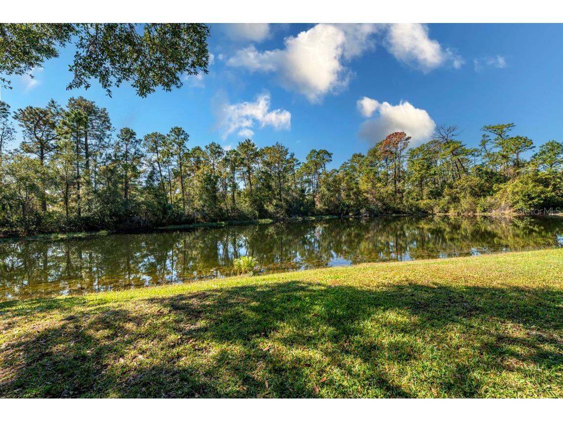 5061 Greenbriar Trail Mount Dora FL 32757 G5104656 image52