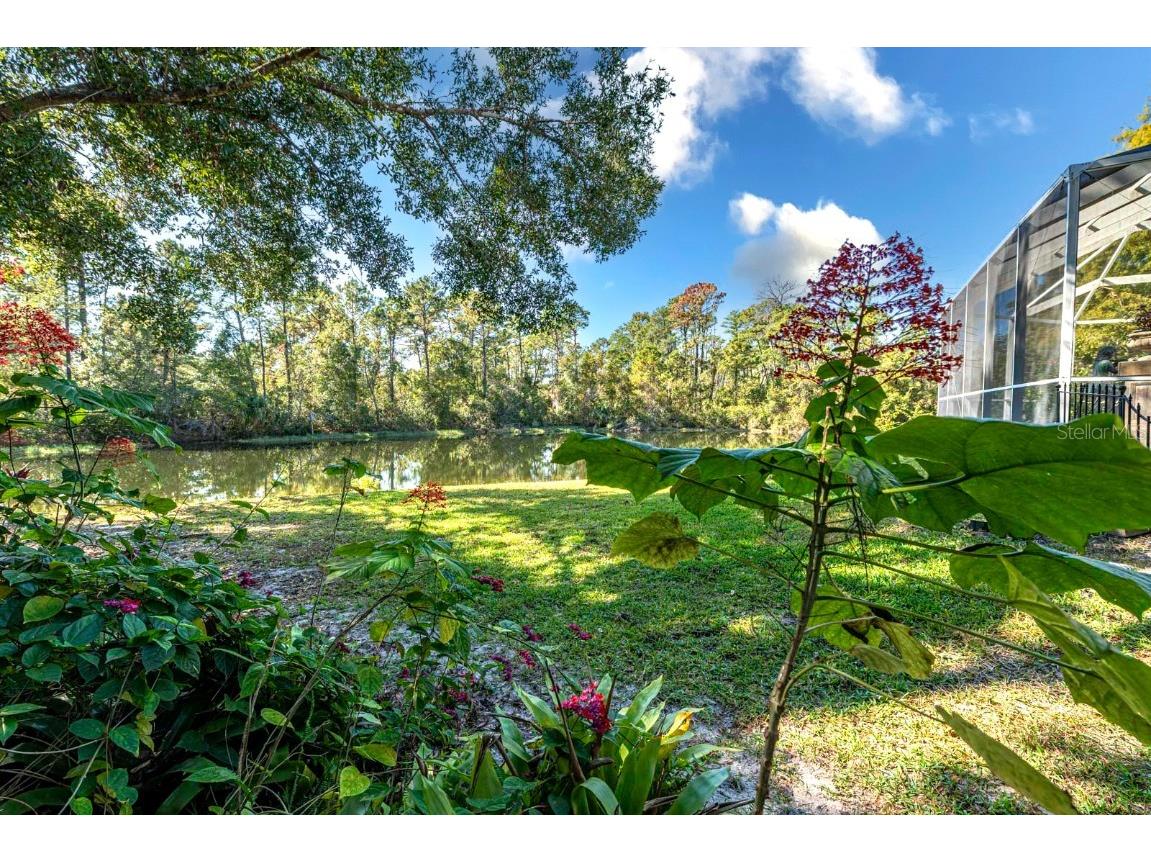 5061 Greenbriar Trail Mount Dora FL 32757 G5104656 image55