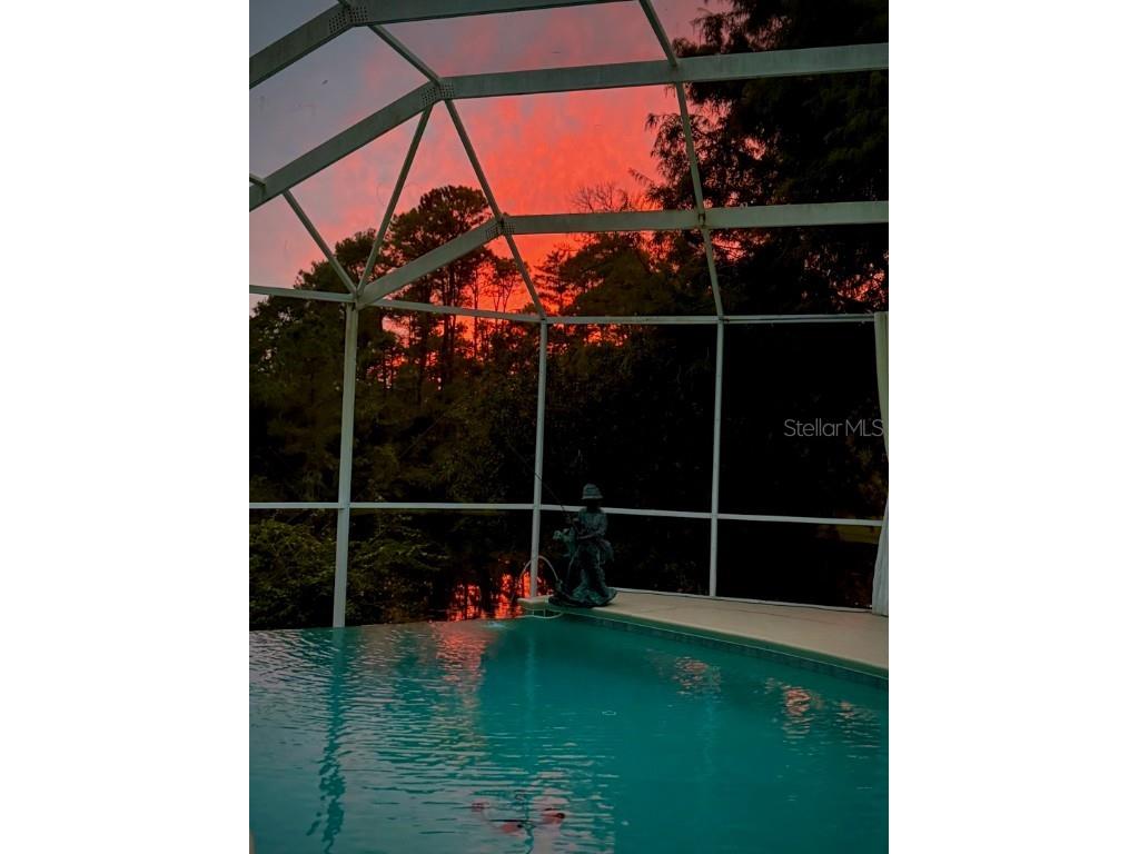 5061 Greenbriar Trail Mount Dora FL 32757 G5104656 image64