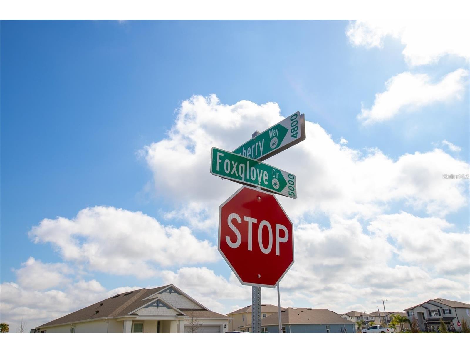 5062 Foxglove Circle Lakeland FL 33811 L4961510 image33