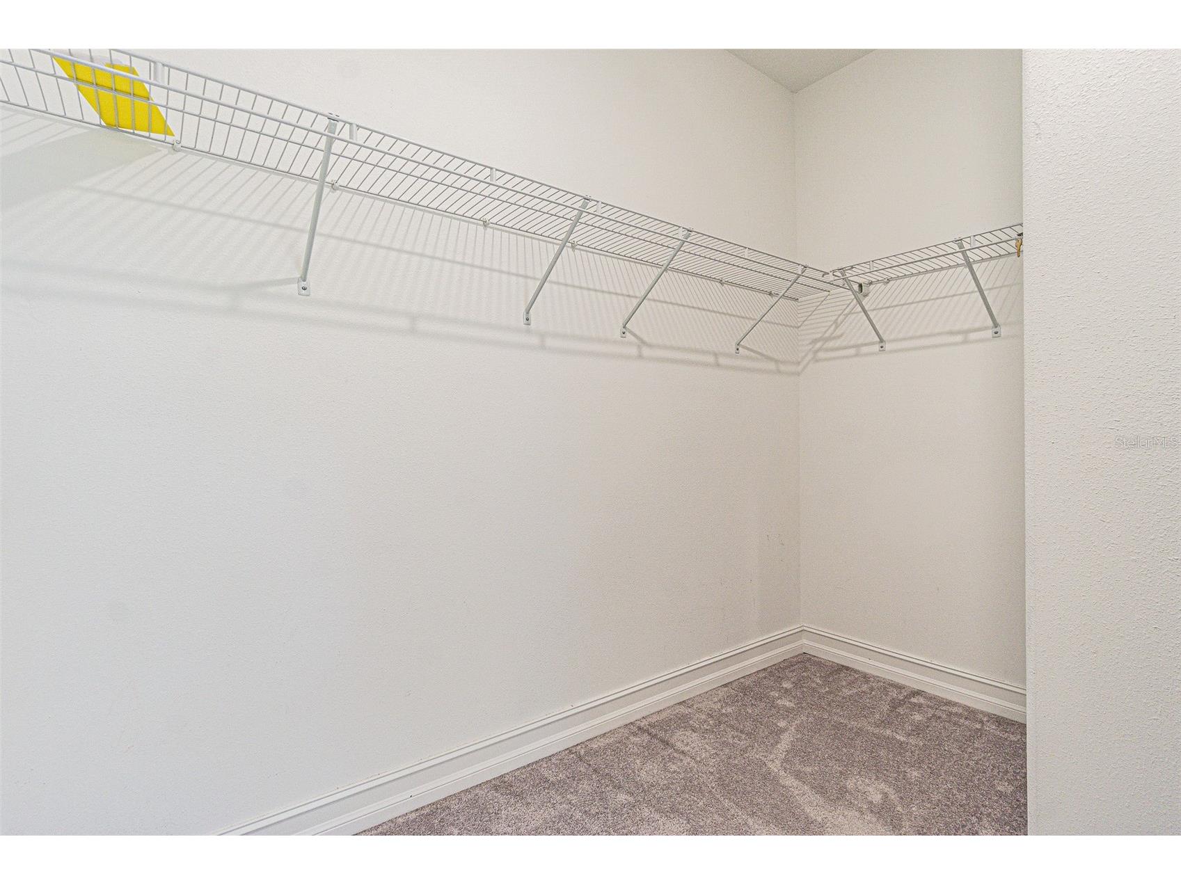 5062 San Martino Drive Wesley Chapel FL 33543 TB8519753 image20