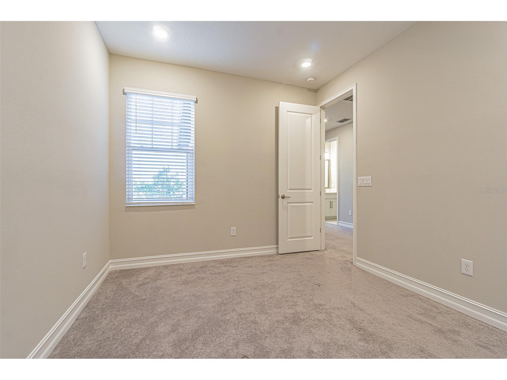 5062 San Martino Drive Wesley Chapel FL 33543 TB8519753 image22