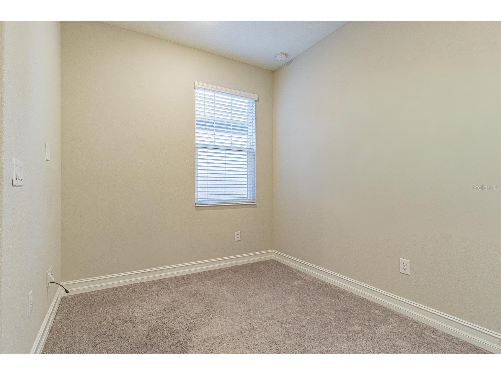 5062 San Martino Drive Wesley Chapel FL 33543 TB8519753 image24