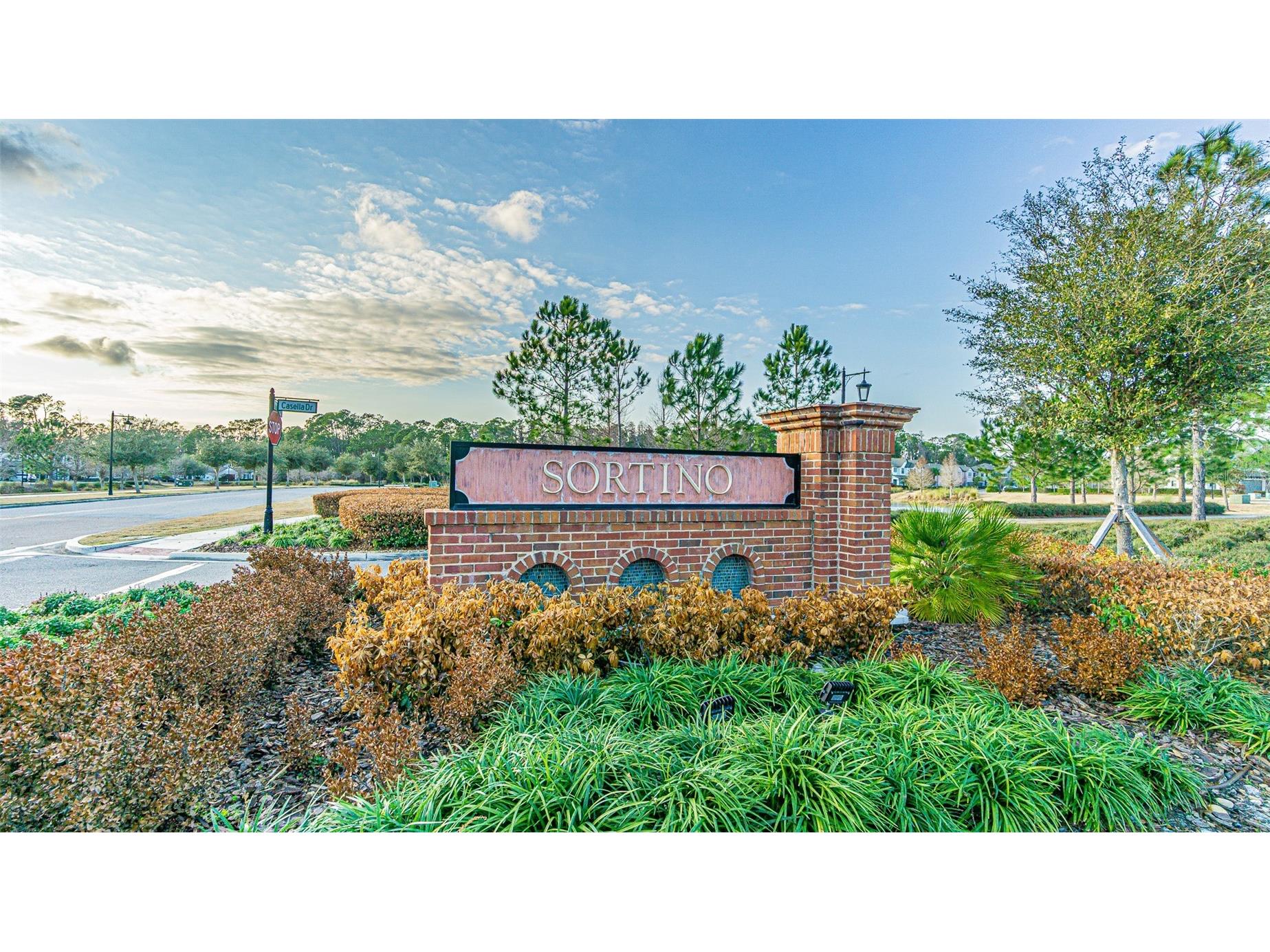 5062 San Martino Drive Wesley Chapel FL 33543 TB8519753 image3