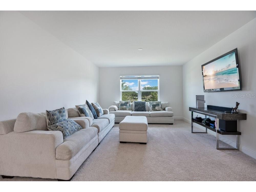 5063 Hatchineha Court Saint Cloud FL 34772 O6416004 image16