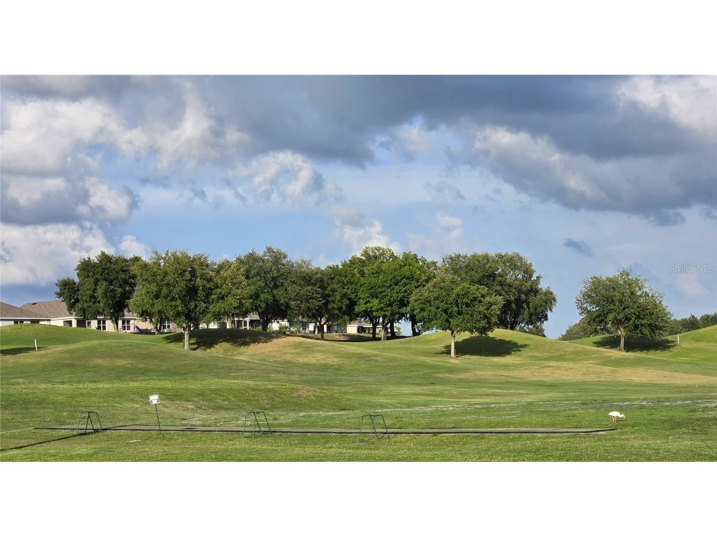 5063 N Triple Eagle Path Beverly Hills FL 34465 OM704942 image11