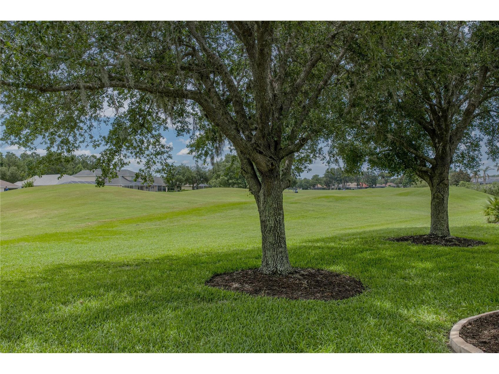 5064 Gevalia Drive Brooksville FL 34604 TB8516985 image49