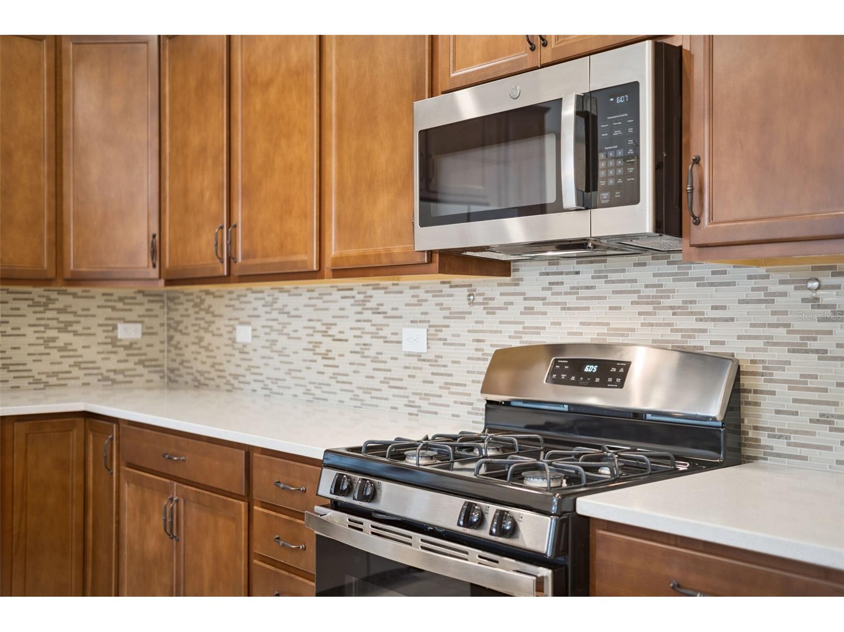 5064 Meadow Song Drive Leesburg FL 34748 G5110256 image14