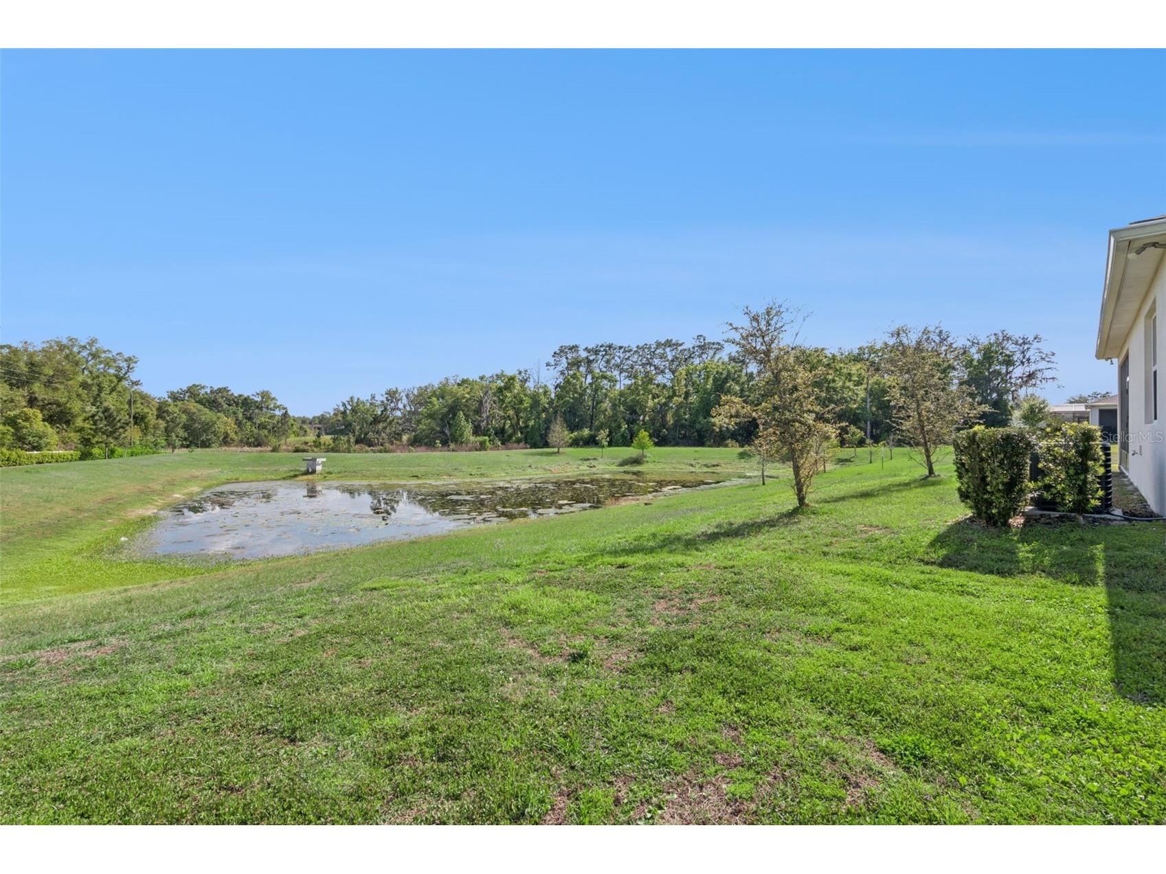 5064 Meadow Song Drive Leesburg FL 34748 G5110256 image58