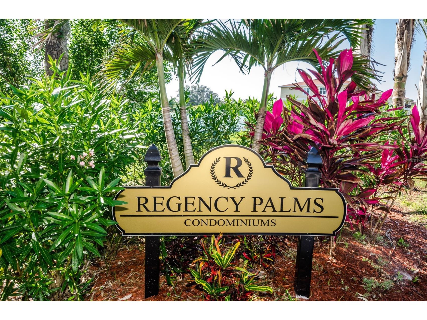 5064 Royal Palms Way #204 New Port Richey FL 34652 TB8454049 image43