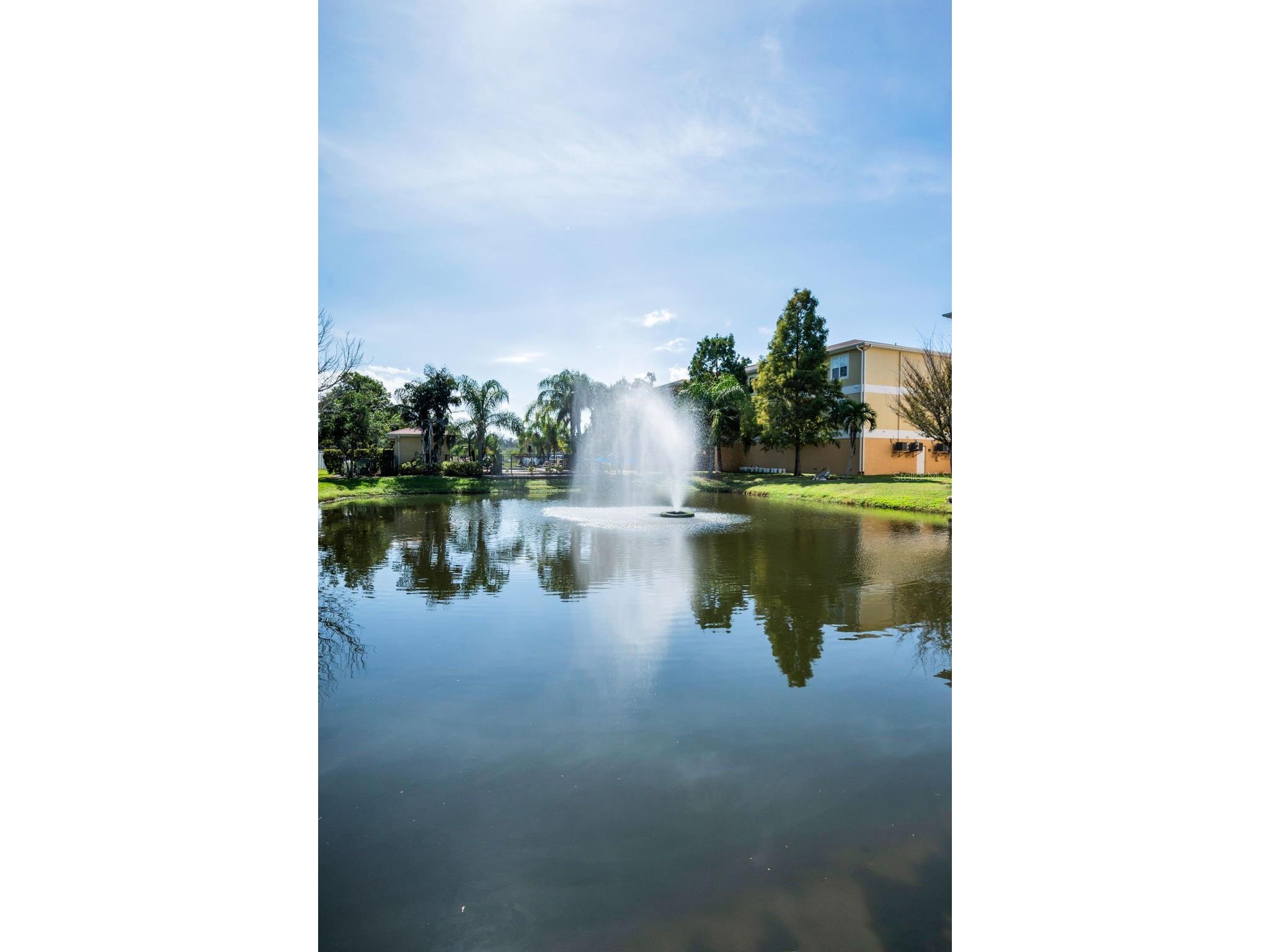 5064 Royal Palms Way #204 New Port Richey FL 34652 TB8454049 image46