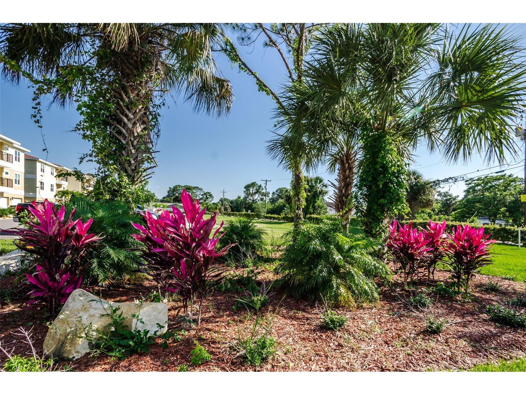 5064 Royal Palms Way #204 New Port Richey FL 34652 TB8454049 image51