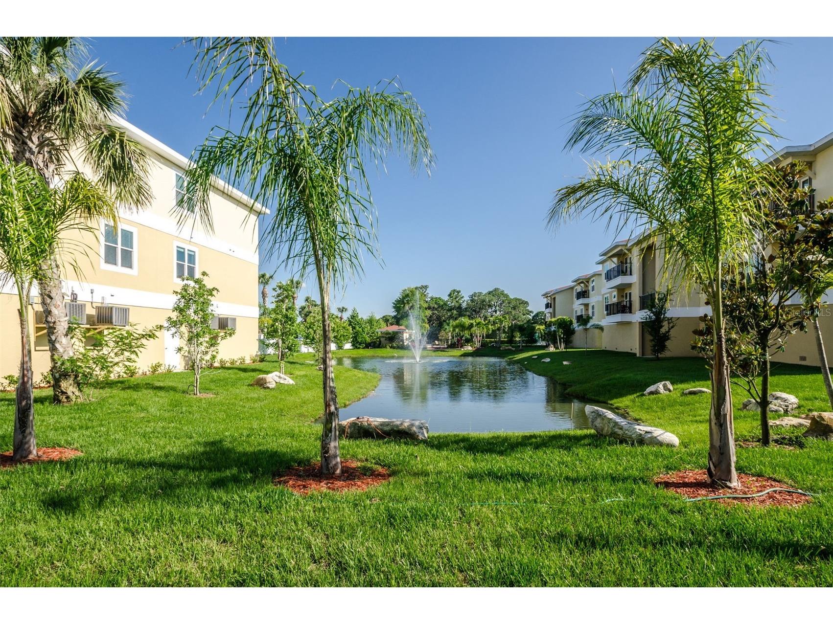 5064 Royal Palms Way #204 New Port Richey FL 34652 TB8454049 image59
