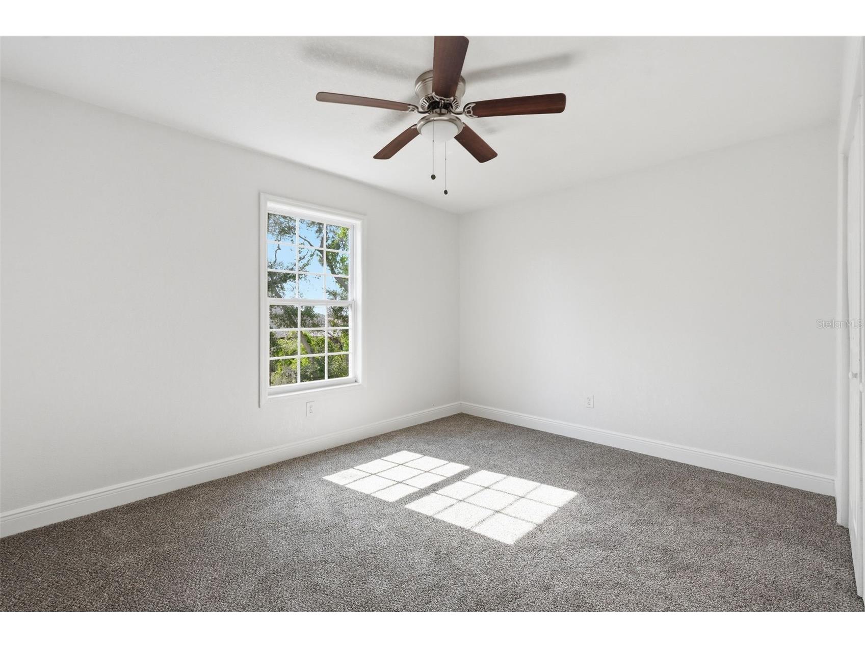 5065 Plumosa Street Spring Hill FL 34607 TB8505347 image27