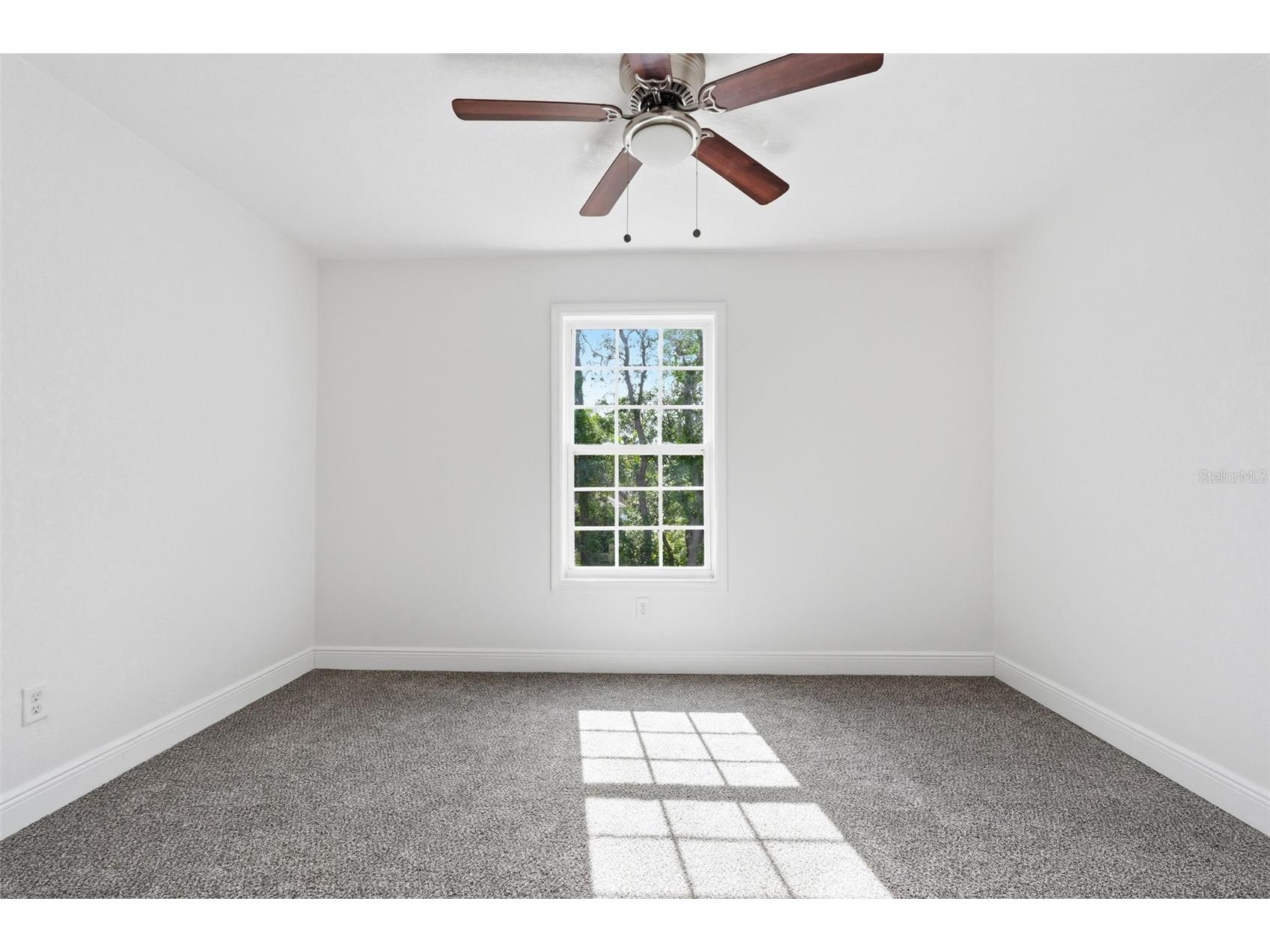 5065 Plumosa Street Spring Hill FL 34607 TB8505347 image31