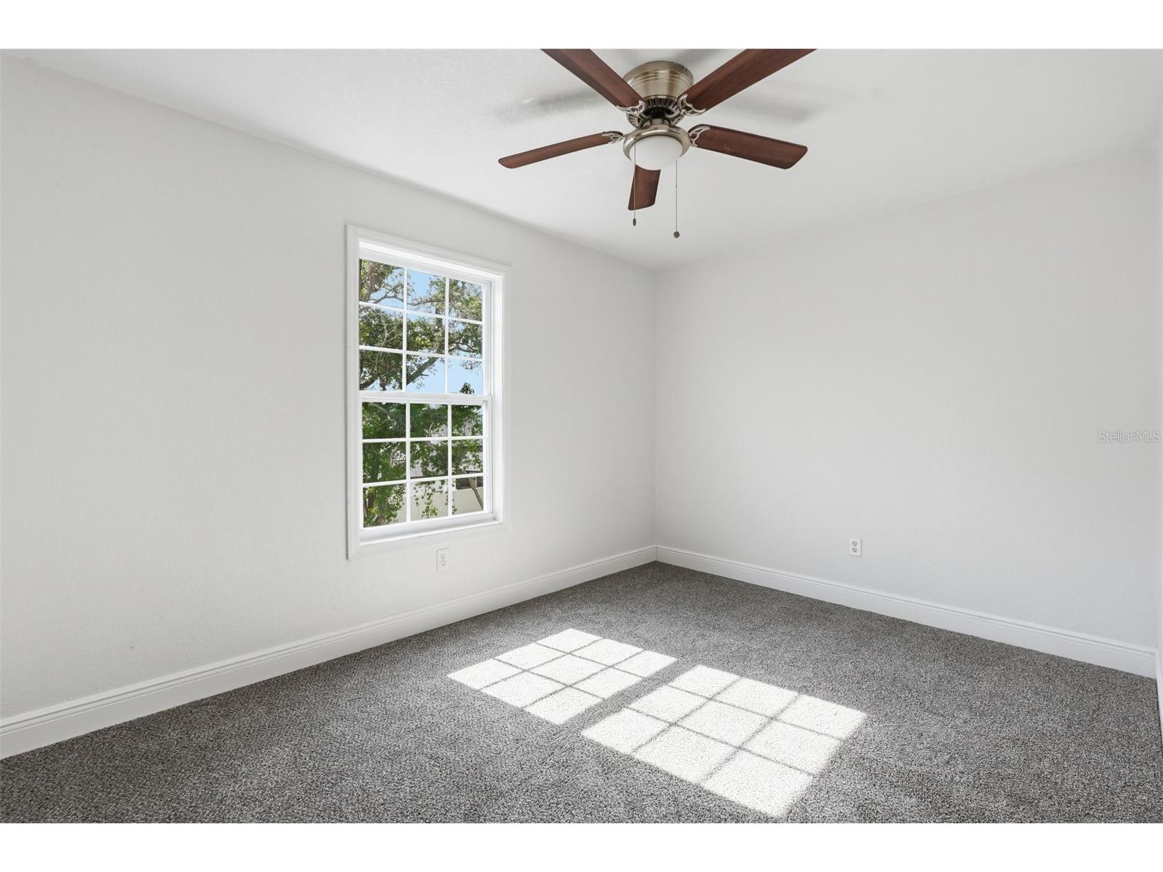 5065 Plumosa Street Spring Hill FL 34607 TB8505347 image32