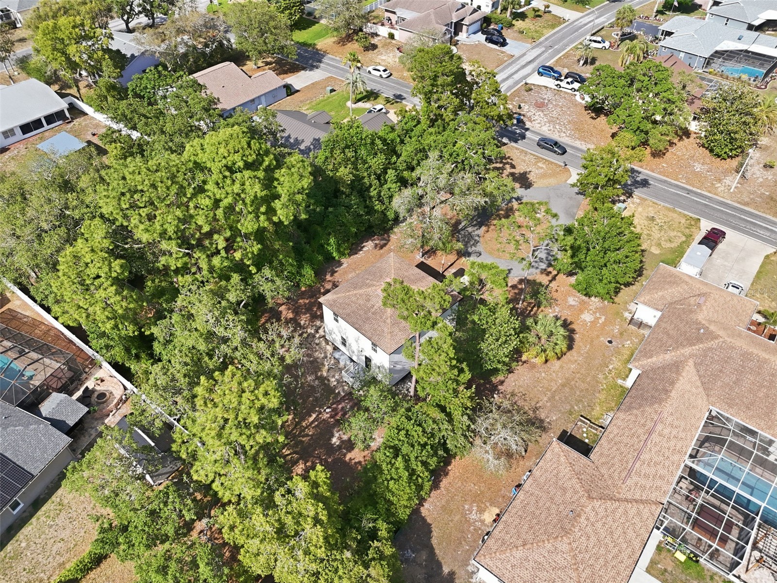 5065 Plumosa Street Spring Hill FL 34607 TB8505347 image41
