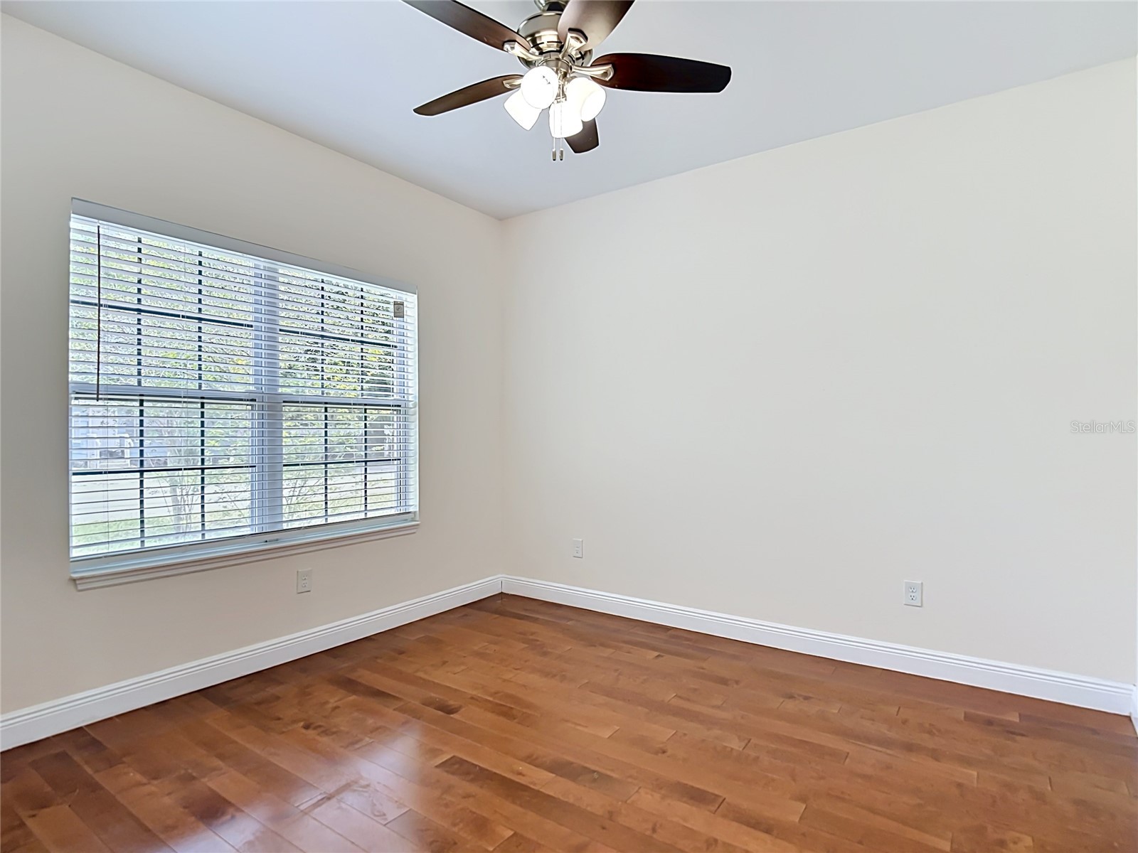 5065 67th Way N Saint Petersburg FL 33709 TB8509319 image38