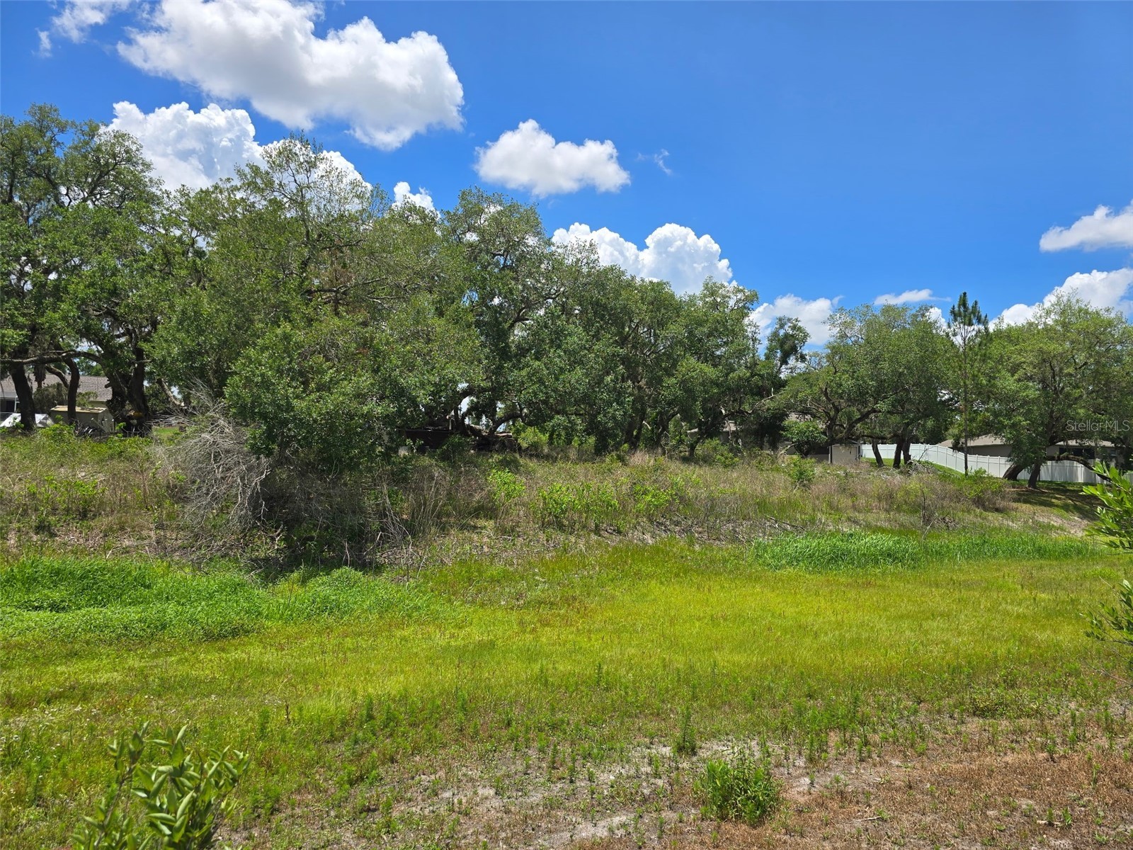 5066 Westlake Boulevard Dade City FL 33523 - Lake Geneva TB8509751 image4