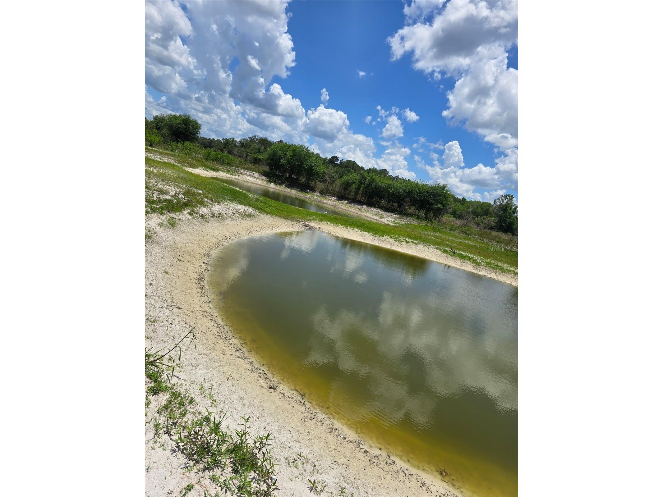 5066 Westlake Boulevard Dade City FL 33523 - Lake Geneva TB8509751 image5