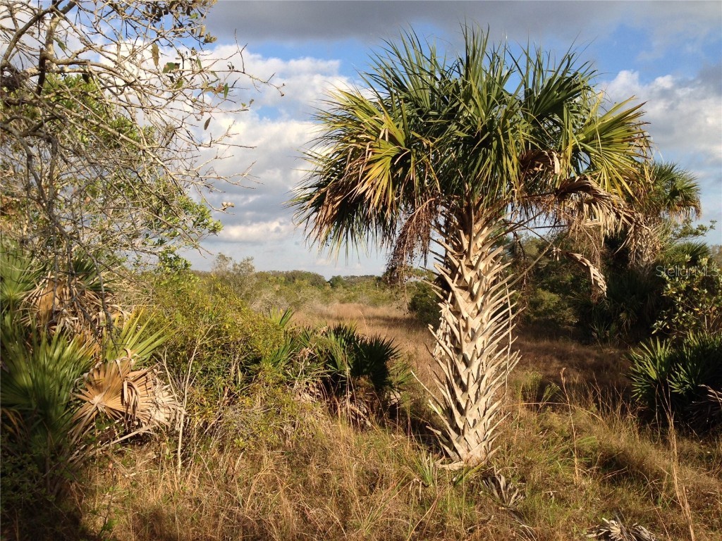 50670 Bermont Road Punta Gorda FL 33982 C7474546 image14