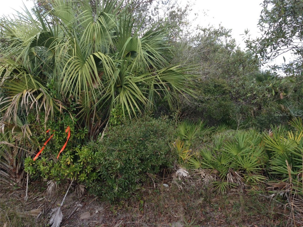 50670 Bermont Road Punta Gorda FL 33982 C7474546 image16