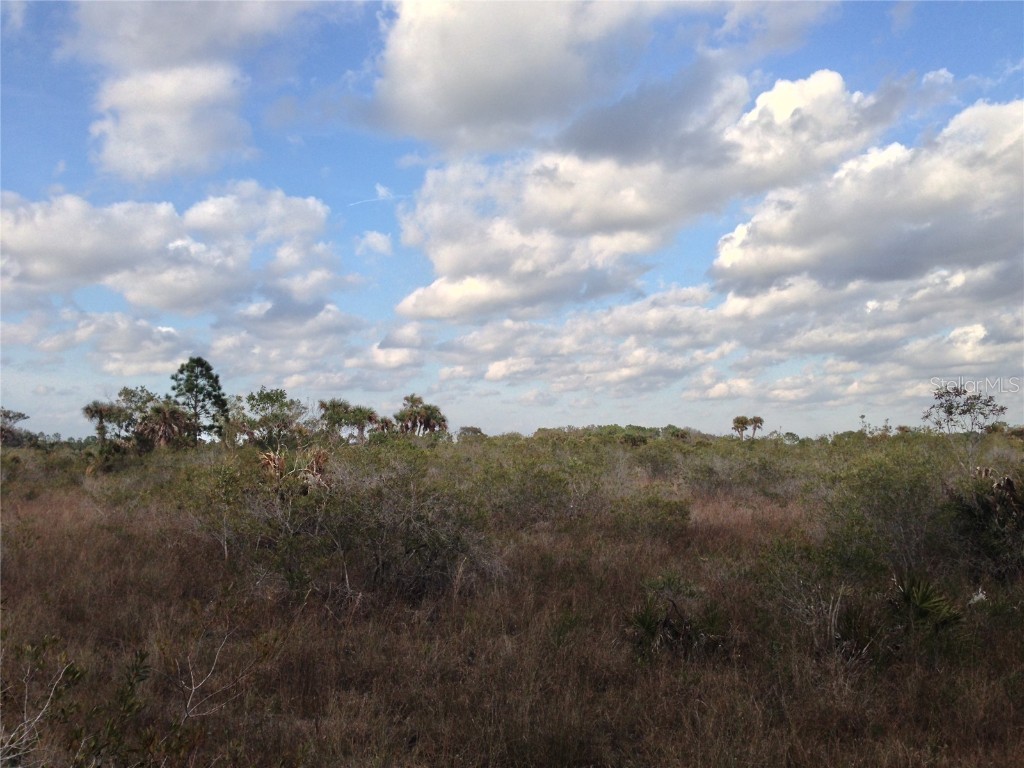 50670 Bermont Road Punta Gorda FL 33982 C7474546 image21