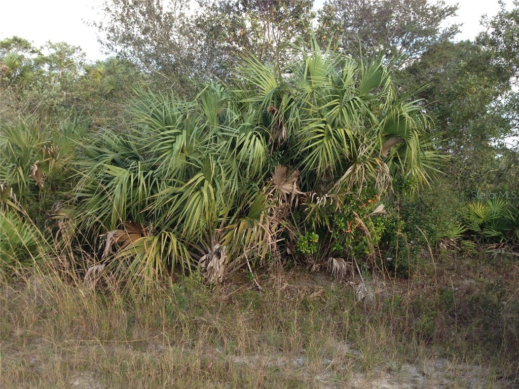 50670 Bermont Road Punta Gorda FL 33982 C7474546 image23