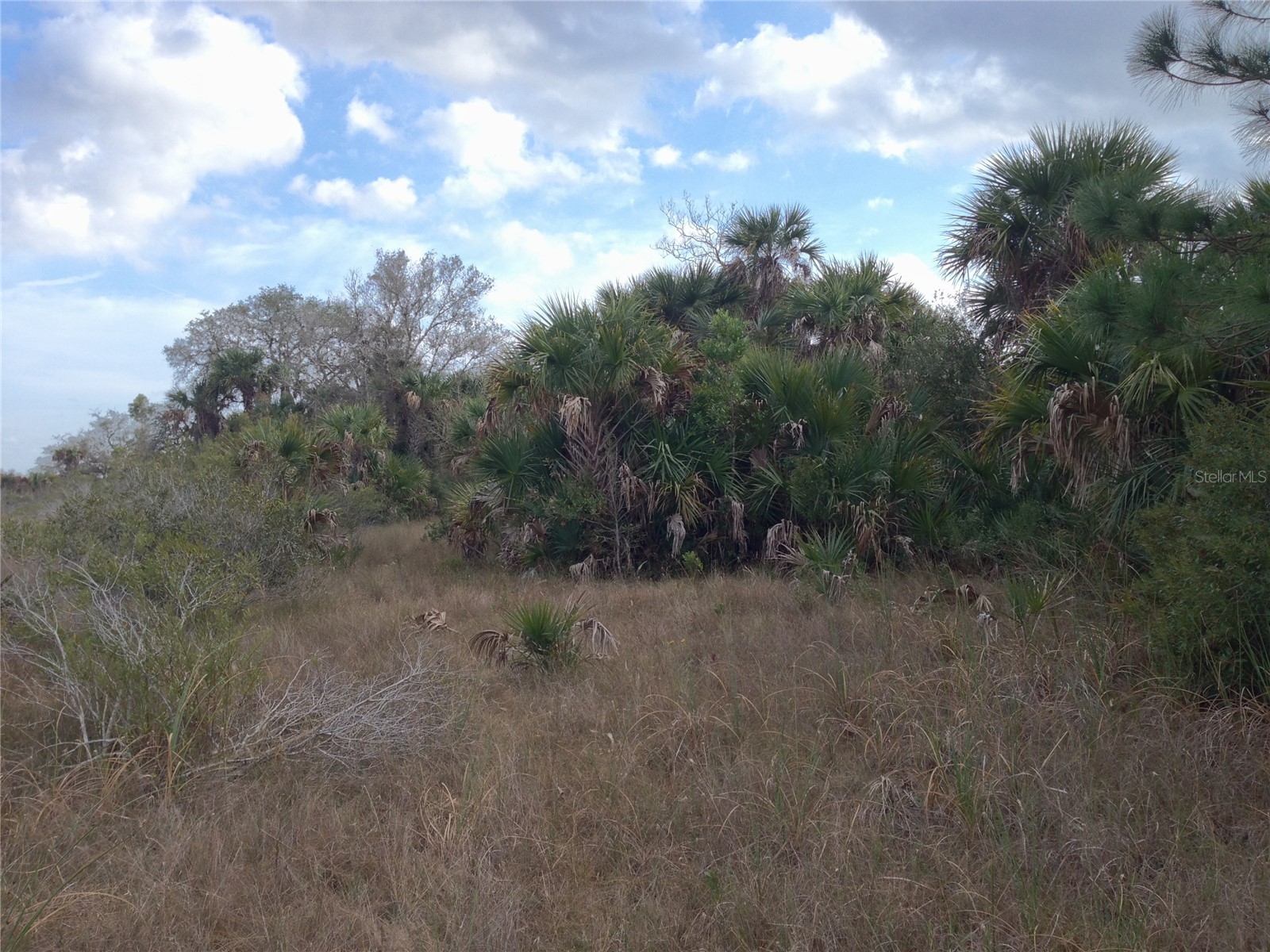 50670 Bermont Road Punta Gorda FL 33982 C7527519 image1