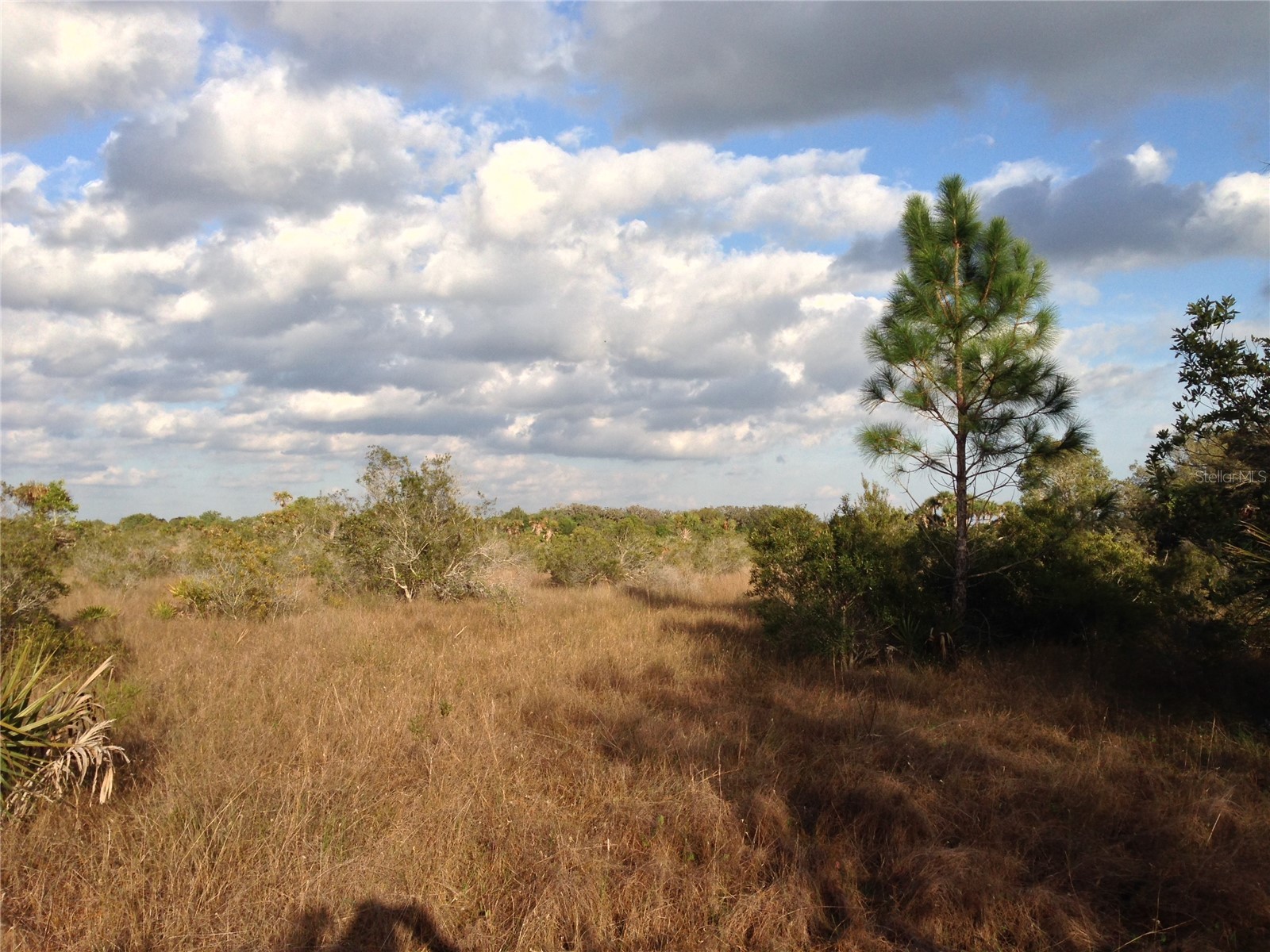 50670 Bermont Road Punta Gorda FL 33982 C7527519 image10