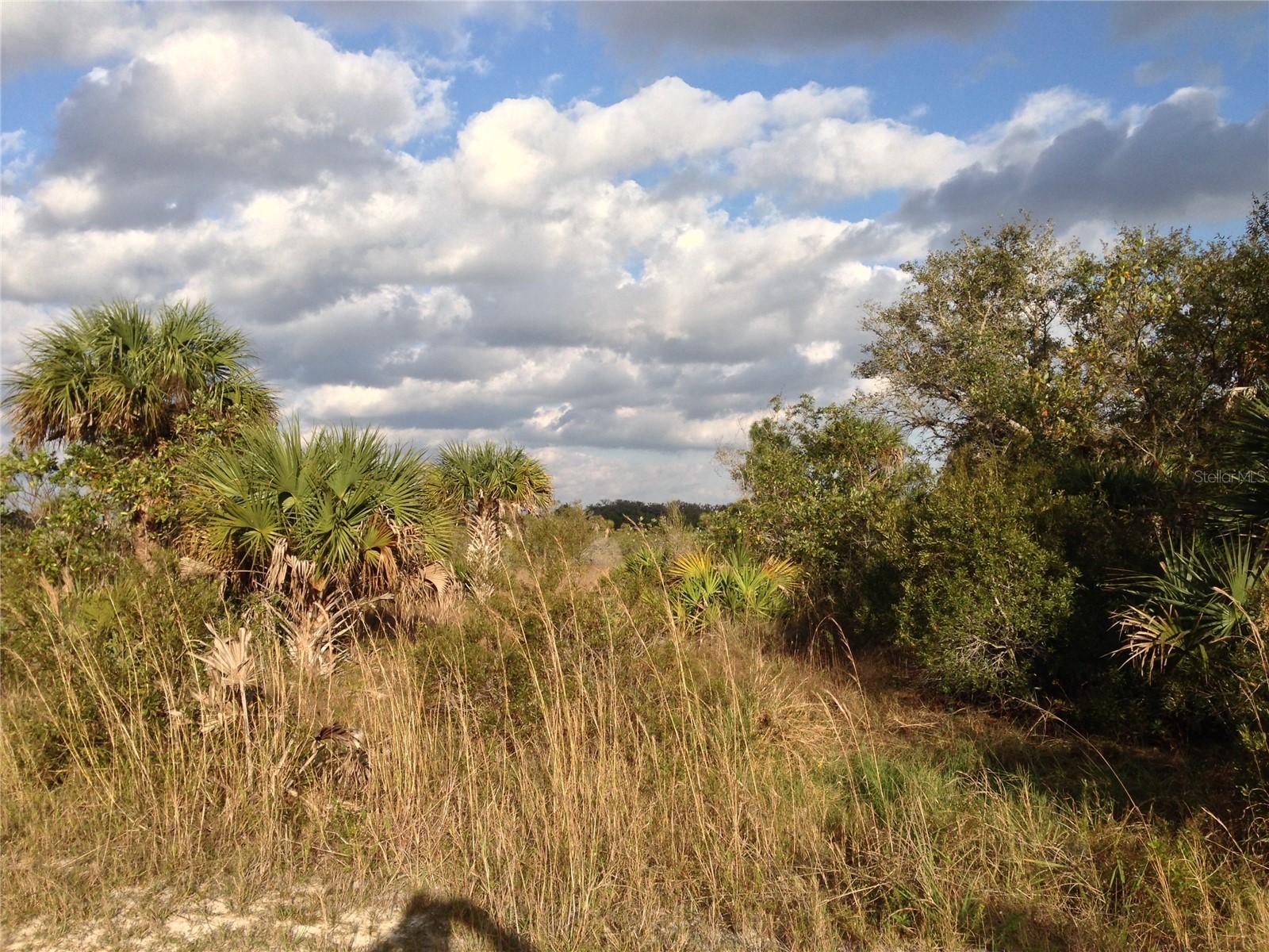 50670 Bermont Road Punta Gorda FL 33982 C7527519 image12