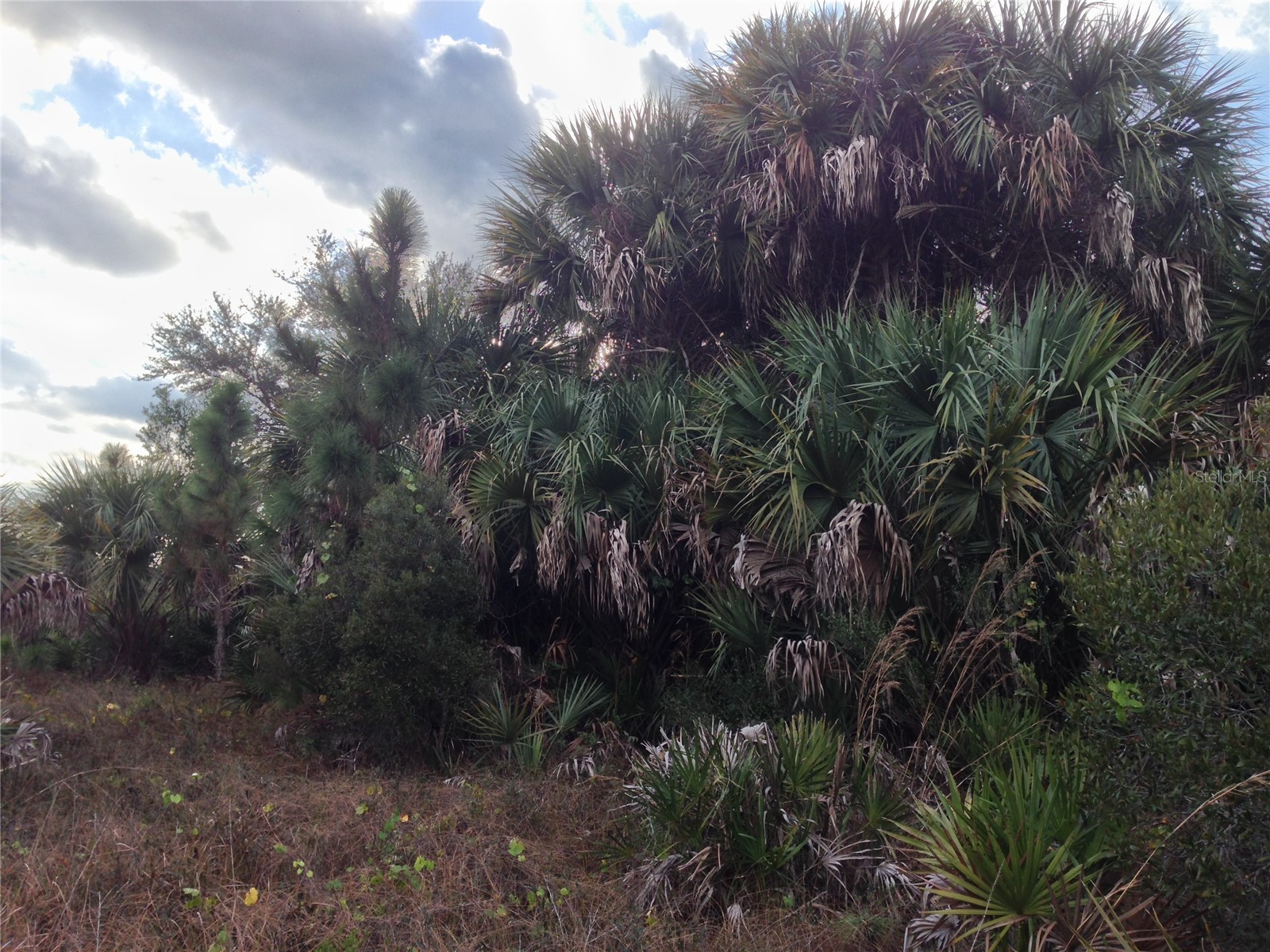 50670 Bermont Road Punta Gorda FL 33982 C7527519 image14