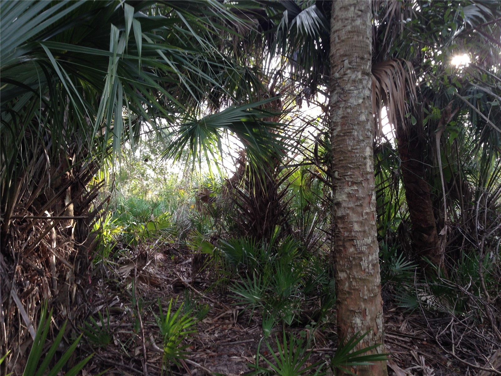 50670 Bermont Road Punta Gorda FL 33982 C7527519 image16