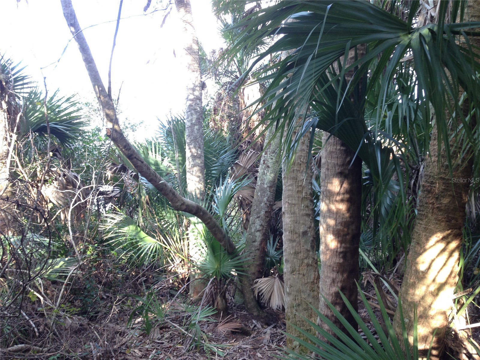 50670 Bermont Road Punta Gorda FL 33982 C7527519 image18