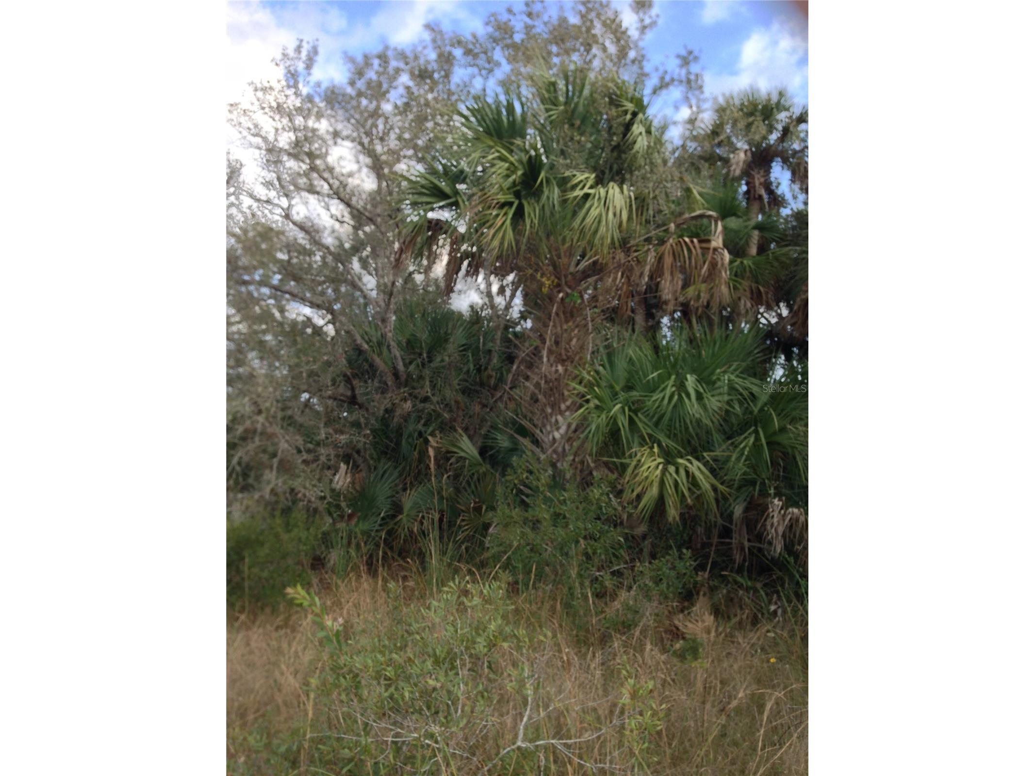50670 Bermont Road Punta Gorda FL 33982 C7527519 image5