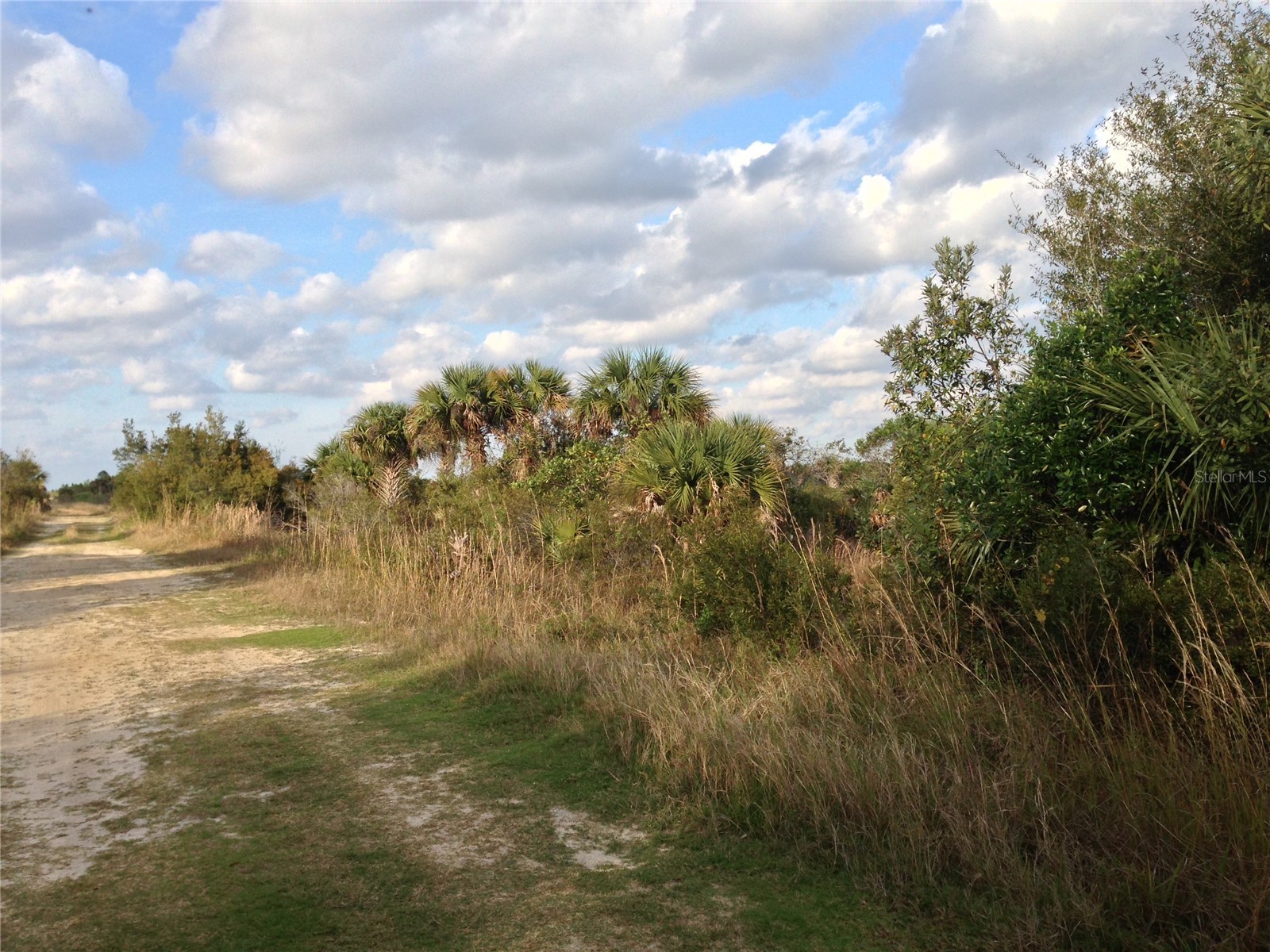 50670 Bermont Road Punta Gorda FL 33982 C7527519 image6