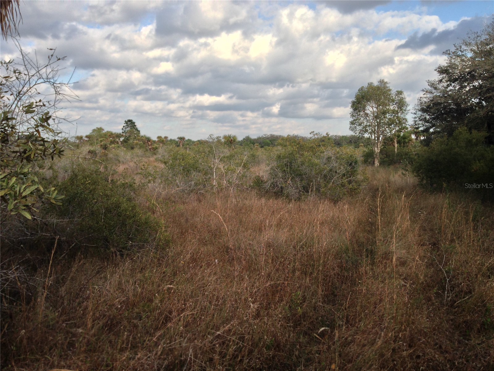 50670 Bermont Road Punta Gorda FL 33982 C7527519 image7