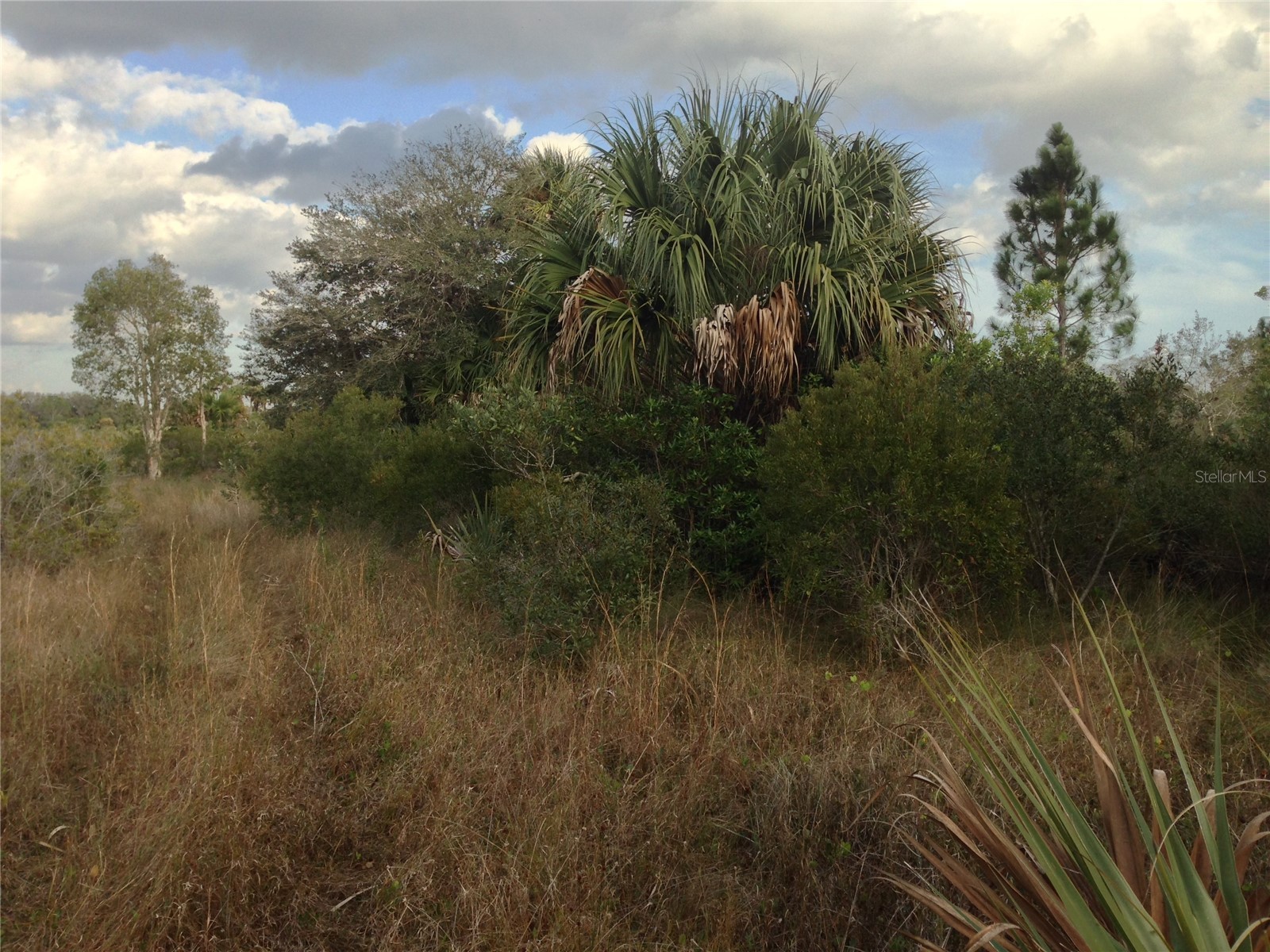 50670 Bermont Road Punta Gorda FL 33982 C7527519 image8