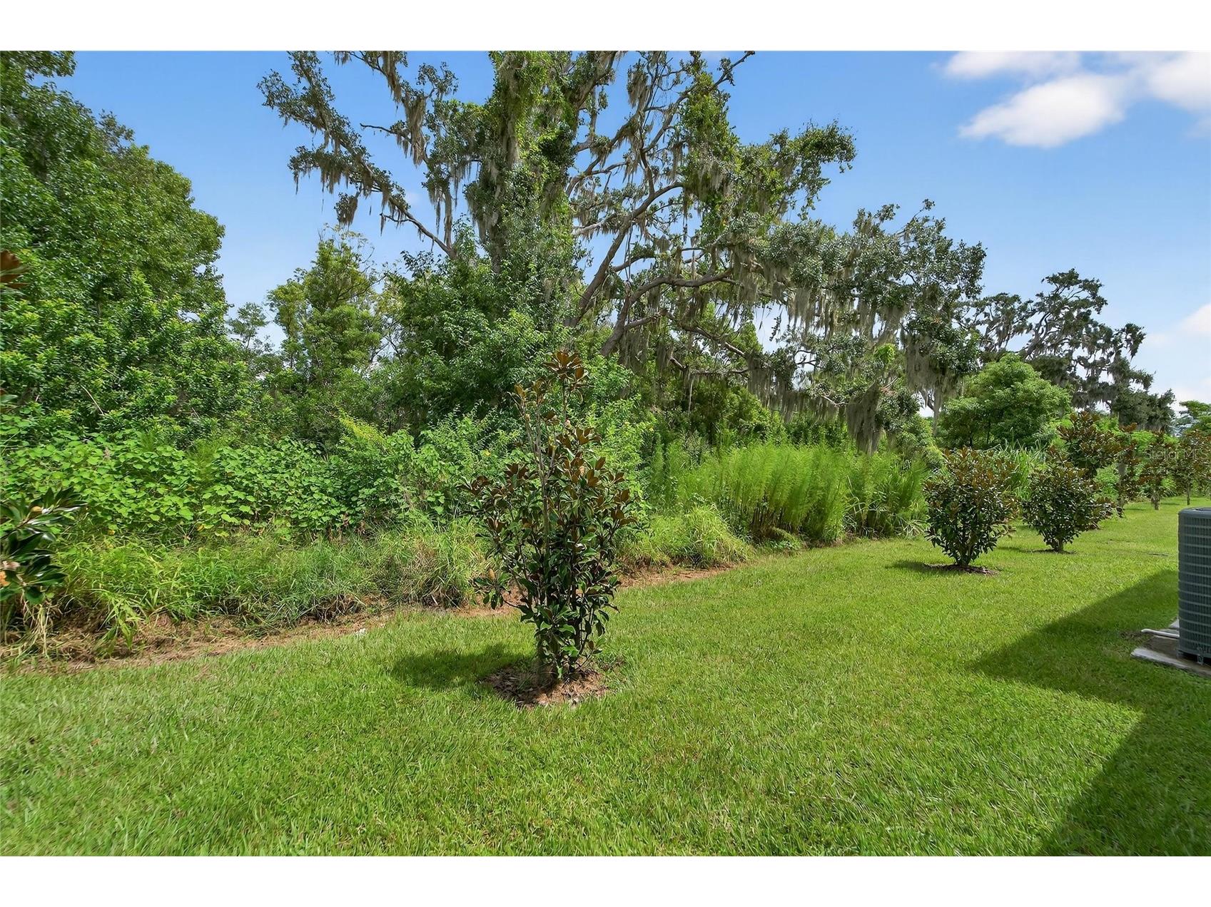 5068 Captain Davis Drive Wimauma FL 33598 TB8475107 image62