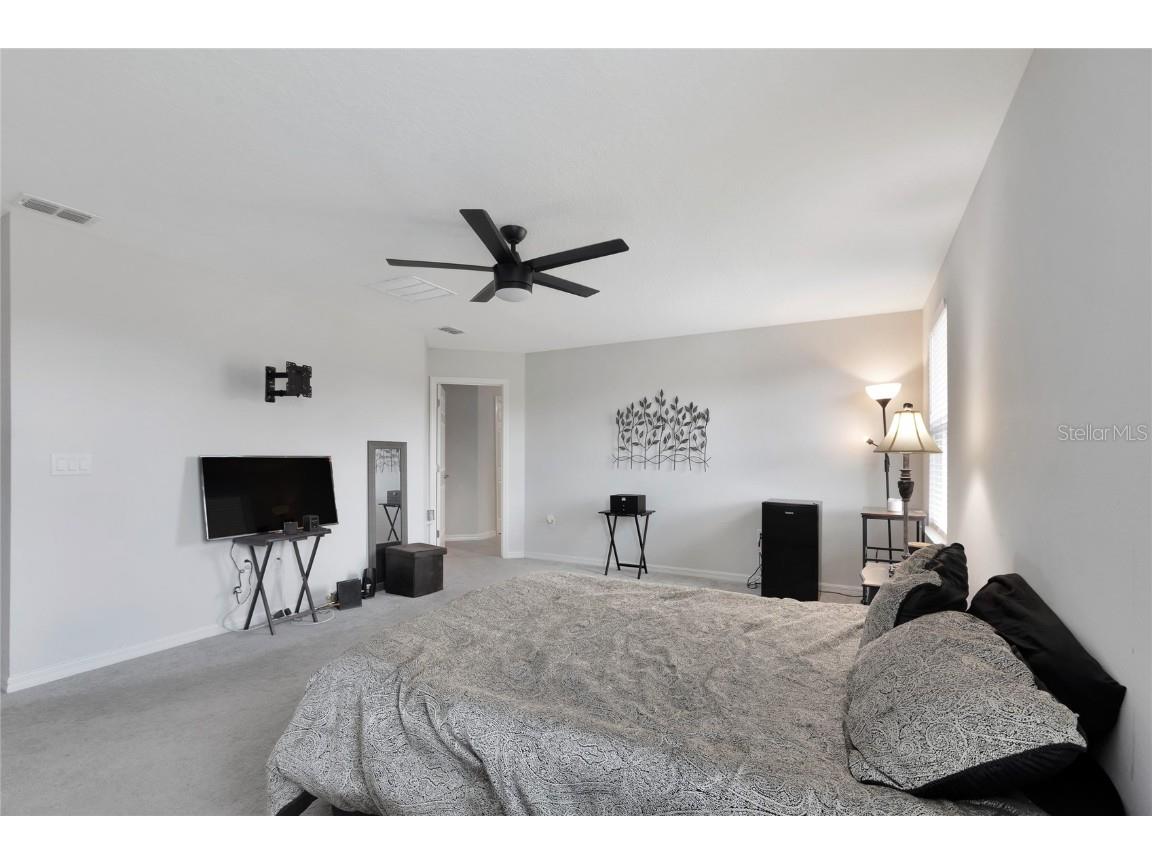 5068 Little Stream Lane Wesley Chapel FL 33545 TB8380394 image21