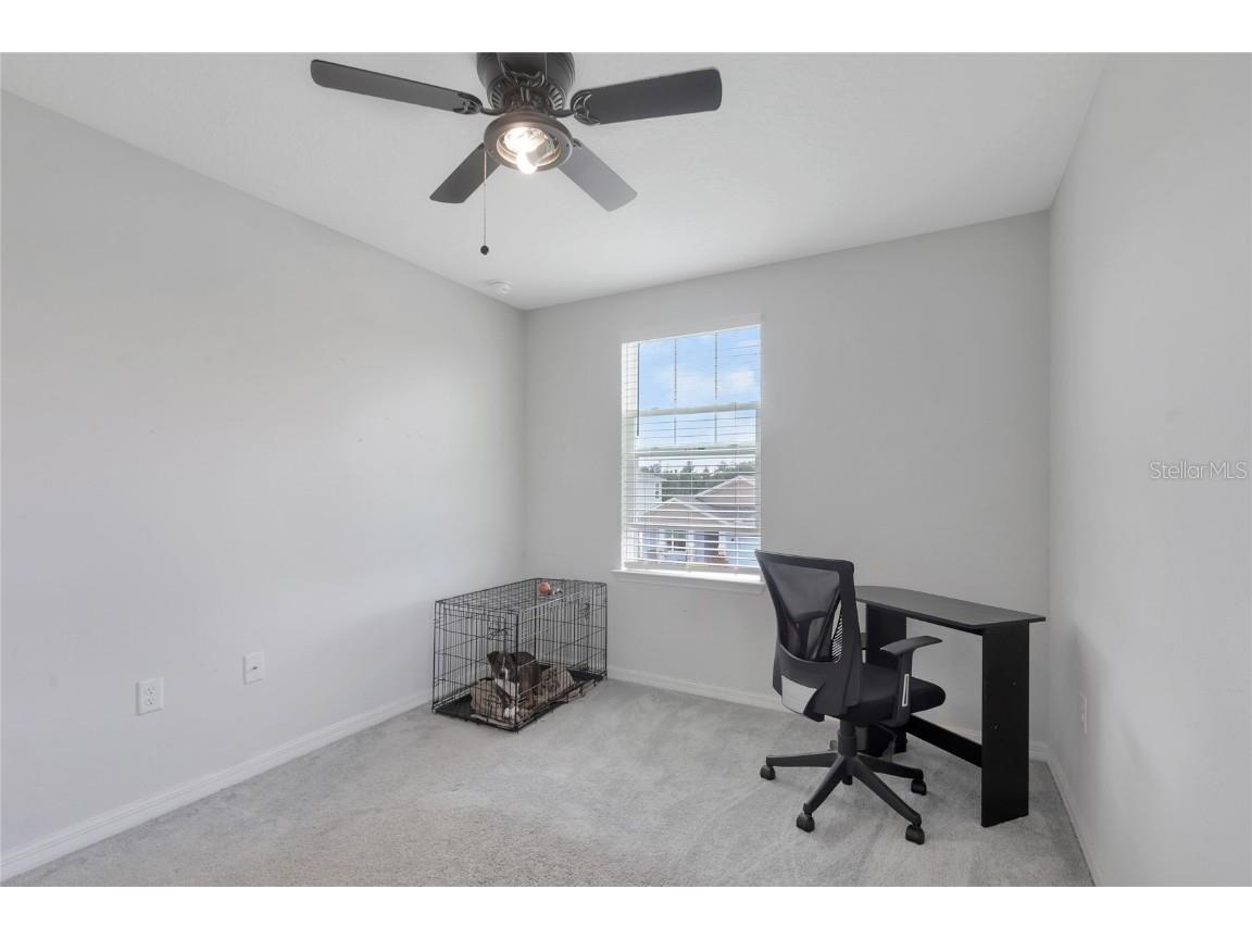 5068 Little Stream Lane Wesley Chapel FL 33545 TB8380394 image29