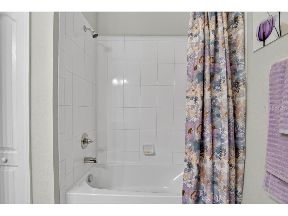 5069 Inshore Landing Drive Apollo Beach FL 33572 TB8429072 image23